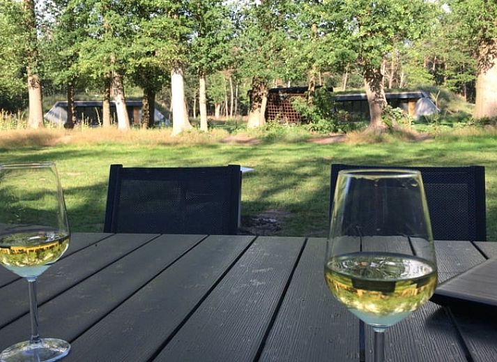 Cozy living room of Holiday Home in Hellendoorn, Overijssel, with modern furnishings and views of the green surroundings of Salland.