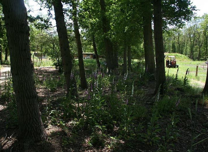 Cozy living room of Holiday Home in Hellendoorn, Overijssel, with modern furnishings and views of the green surroundings of Salland.