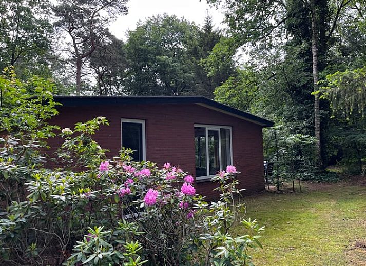 Atmospheric interior of Cottage in Hellendoorn, vacation accommodation in Hellendoorn, Salland.