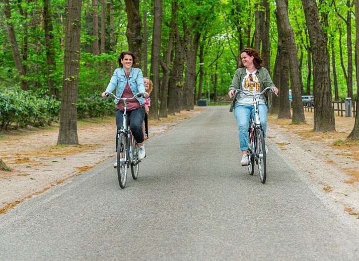 Guest house 532220 - Holiday property Salland - Cube la Mer