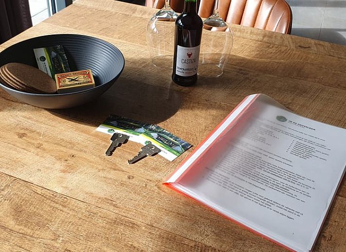 Gezellige woonkamer in Vakantiehuis in Hellendoorn, Salland, met uitzicht op groene omgeving en moderne inrichting.