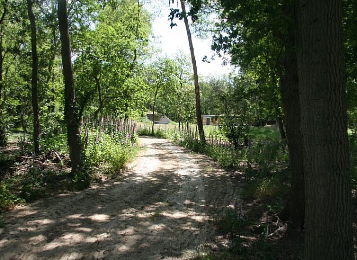 Geniet van een ontspannen avond in het Vakantiehuis in Hellendoorn, Salland, met moderne entertainmentopties in de comfortabele woonkamer.
