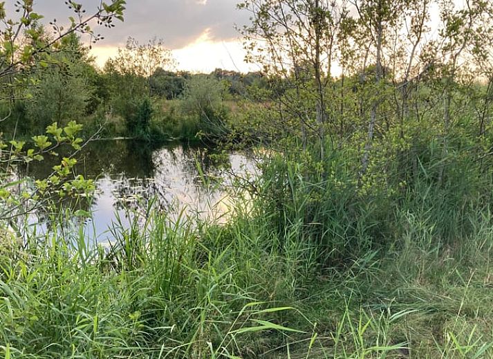 Gemuetliches Esszimmer in Cottage in Hellendoorn, Ferienhaus in Hellendoorn, Overijssel, mit rundem Tisch und Blick auf die gruene Umgebung.