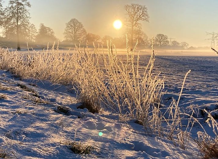 Gemuetliches Esszimmer in Cottage in Hellendoorn, Ferienhaus in Hellendoorn, Overijssel, mit rundem Tisch und Blick auf die gruene Umgebung.
