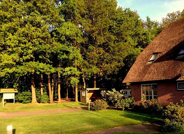 Verblijf 532228 • Vakantiewoning Salland • Hof van Salland - Beukelaer XL wellness 6 persoons 1