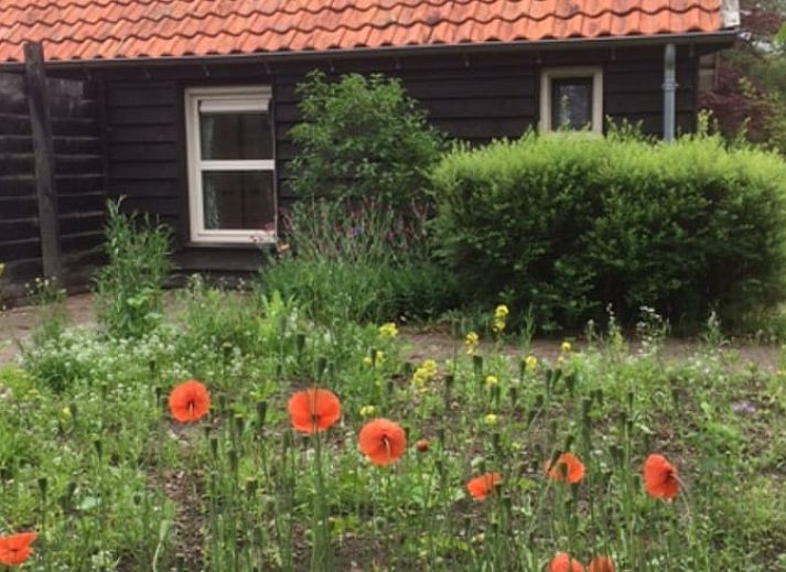 Verblijf 532232 - Bed and breakfast Salland - Vakantiehuis in Hellendoorn