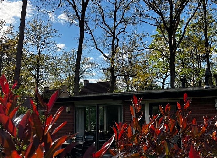 Gemuetliches Wohnzimmer des Ferienhauses in Hellendoorn, Salland mit Blick auf die Terrasse.