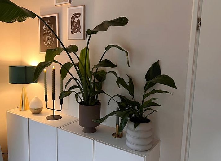 Gemuetliches Wohnzimmer des Ferienhauses in Hellendoorn, Salland mit Blick auf die Terrasse.