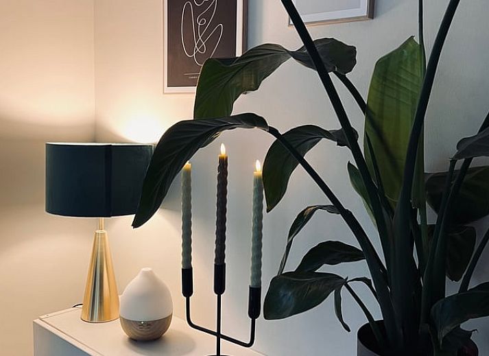 Gemuetliches Wohnzimmer des Ferienhauses in Hellendoorn, Salland mit Blick auf die Terrasse.