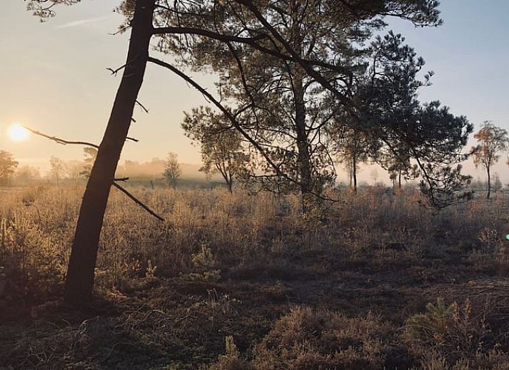 Blick auf die Natur vom Ferienhaus in Hellendoorn, Salland.