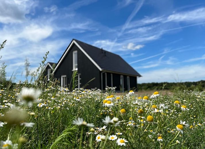 Vakantiehuis in Hellendoorn bij zonsondergang, omgeven door weelderige natuur in Salland, Overijssel.