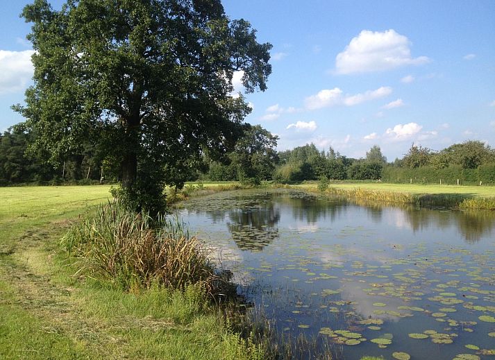 Verblijf 532247 - Vakantiewoning Salland - Vakantiehuis Fachwerkhaus "Das Reggestee" auf dem Bauernhof