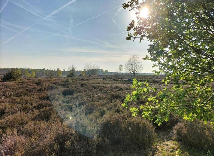 Verblijf 533215 - Vakantiewoning Salland - Park Haarle