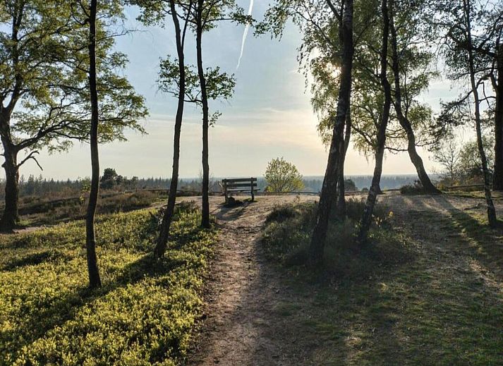 Verblijf 533215 - Vakantiewoning Salland - Park Haarle