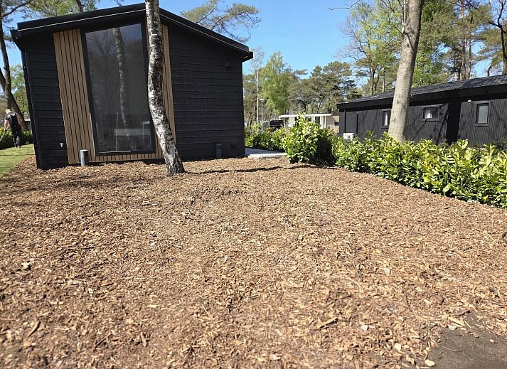 Verblijf 533217 - Vakantiewoning Salland - OV823