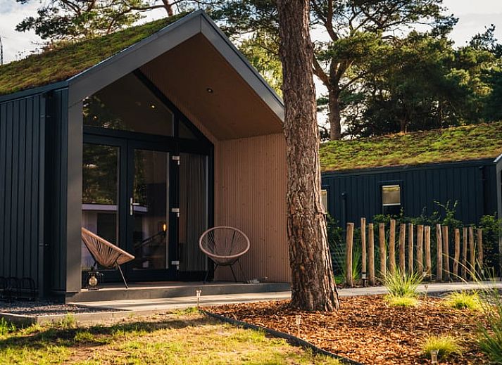 Modernes Ferienhaus mit Gruendach in Haarle, Overijssel, umgeben von Natur und Ruhe, ideal fuer einen erholsamen Aufenthalt.