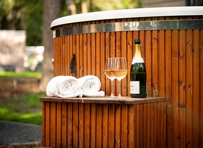 Modernes Ferienhaus mit Gruendach in Haarle, Overijssel, umgeben von Natur und Ruhe, ideal fuer einen erholsamen Aufenthalt.