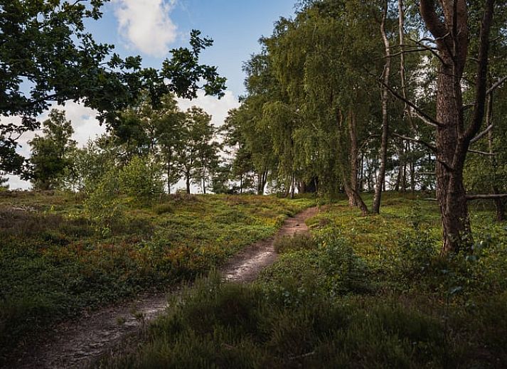 Gemuetliches Schlafzimmer im Ferienhaus in Haarle, gelegen in Hellendoorn, Salland, Overijssel. Komfortable Unterkunft mit moderner Einrichtung.