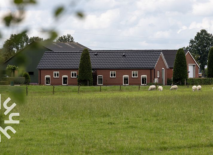 Terras bij vakantiehuis OV218 in Haarle, Hellendoorn, met uitzicht op groene weiden in Salland, Overijssel.