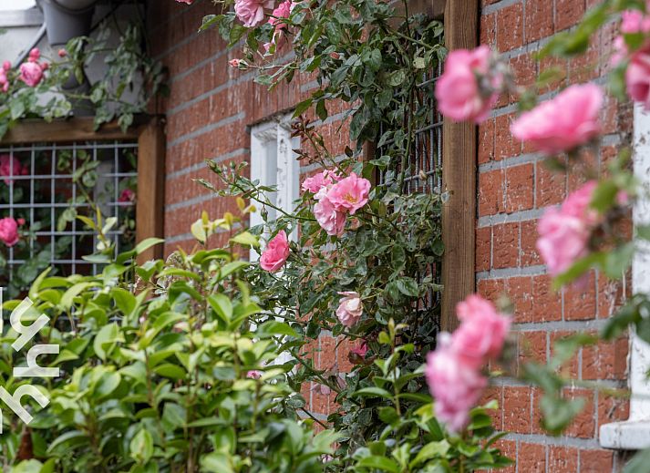 Moderne keuken van vakantiehuis OV218 in Haarle, Hellendoorn, compleet met apparatuur in Salland, Overijssel.