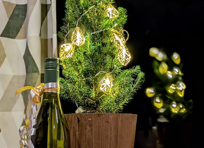 Modern vakantiehuisje in Haarle omgeven door bos, ideaal voor een ontspannen verblijf in Hellendoorn, Salland, Overijssel.