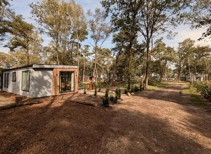 Modern vakantiehuisje in Haarle omgeven door bos, ideaal voor een ontspannen verblijf in Hellendoorn, Salland, Overijssel.