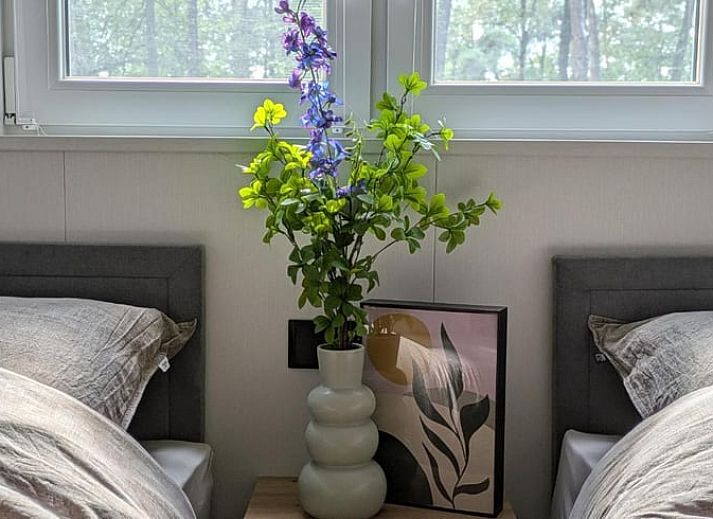 Gezellige binnenruimte van Vakantiehuisje in Haarle met sfeervolle decoratie, perfect voor een vakantie in Hellendoorn, Overijssel.