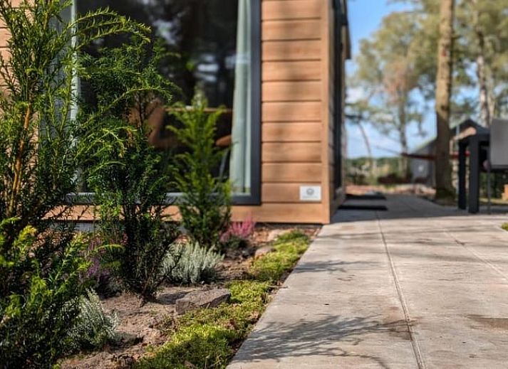 Rustgevende omgeving rondom Vakantiehuisje in Haarle, ideaal voor natuurliefhebbers in Hellendoorn, Salland, Overijssel.