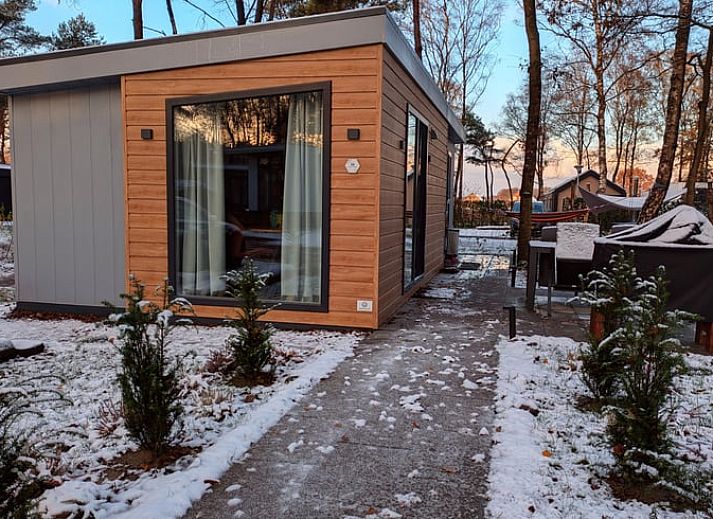 Rustgevende omgeving rondom Vakantiehuisje in Haarle, ideaal voor natuurliefhebbers in Hellendoorn, Salland, Overijssel.
