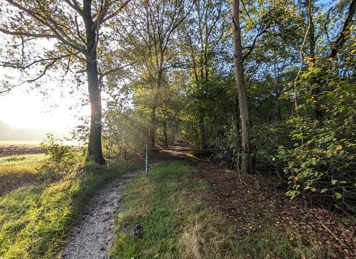 Stijlvolle woonkamer in Vakantiehuisje in Haarle met uitzicht op de natuur van Hellendoorn, Salland, Overijssel.