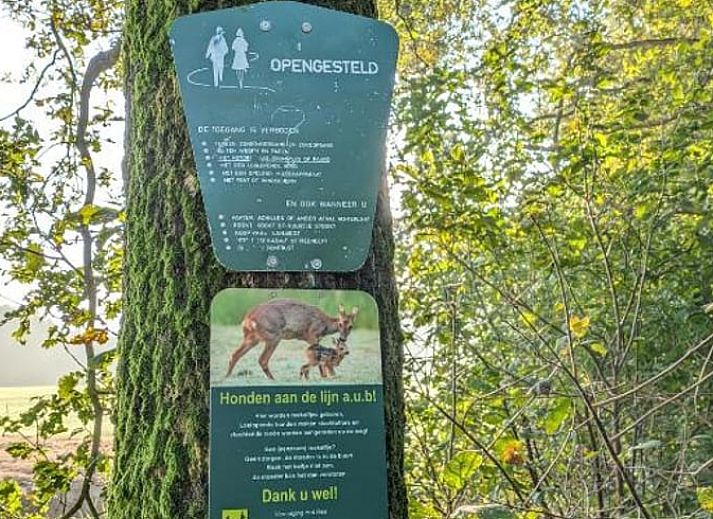 Stijlvolle woonkamer in Vakantiehuisje in Haarle met uitzicht op de natuur van Hellendoorn, Salland, Overijssel.