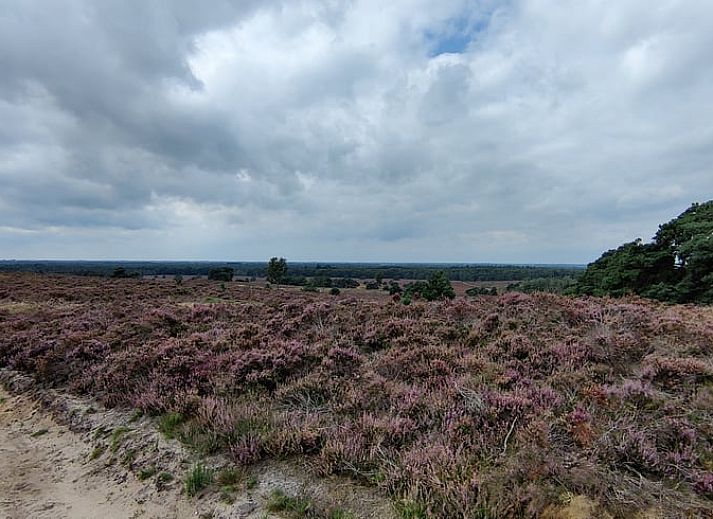 Guest house 533229 - Holiday property Salland - Huisje in Haarle