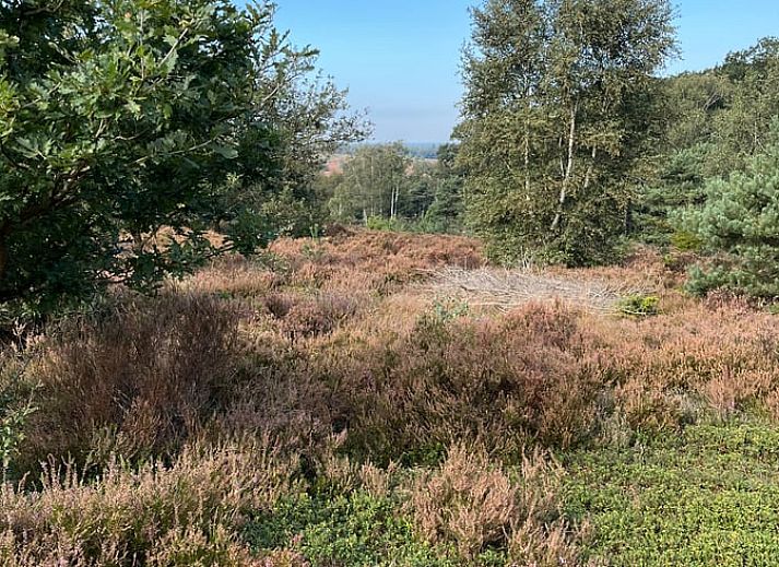 Houtblokken voor de open haard bij Vakantiehuisje in Haarle, ideaal voor een knusse avond in Salland.