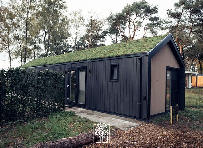 Comfortabele ligstoelen naast de hot tub bij Vakantiehuis in Haarle, een prachtig vakantiehuis in Hellendoorn, Overijssel.