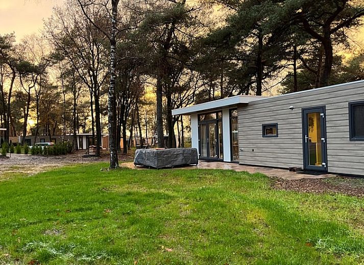 Unterkunft 533238 - Ferienhaus Salland - Huisje in Haarle