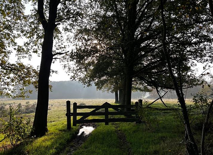 Unterkunft 533238 - Ferienhaus Salland - Huisje in Haarle