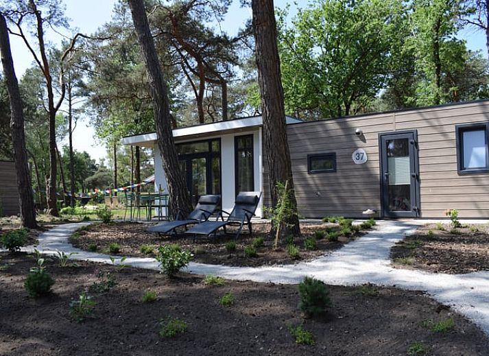 Unterkunft 533258 - Ferienhaus Salland - Vakantiehuis in Haarle