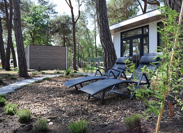 Unterkunft 533258 - Ferienhaus Salland - Vakantiehuis in Haarle
