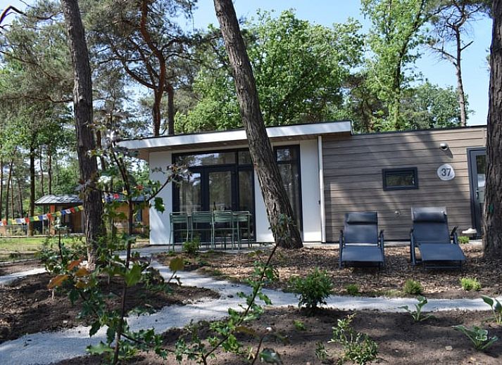 Unterkunft 533258 - Ferienhaus Salland - Vakantiehuis in Haarle