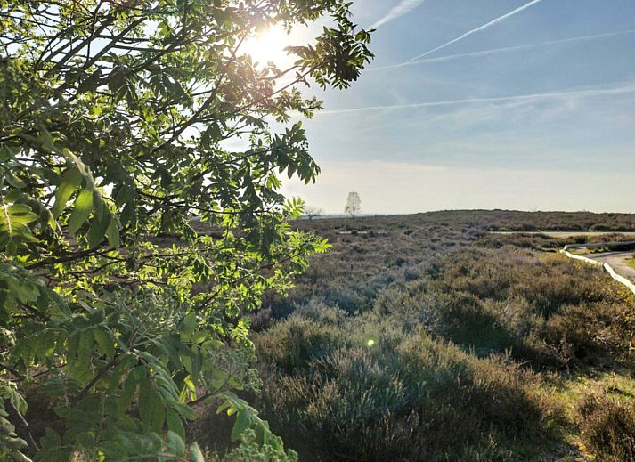 Enjoy the terrace at vacation home OV751 in Haarle, Hellendoorn, Overijssel, surrounded by nature and with comfortable deck chairs.