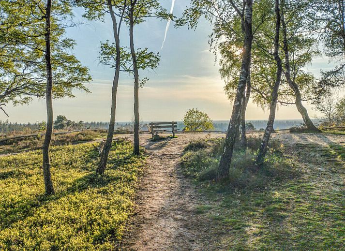 Cozy living room of vacation home OV751 in Haarle, Hellendoorn, with modern interior and comfortable seating area in Salland, Overijssel.