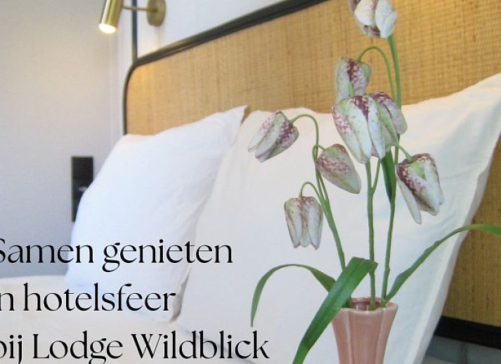 Unterkunft 533276 - Ferienhaus Salland - Boshuisje Lodge Wildblick