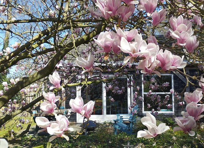 Guest house 533303 - Holiday property Salland - Vakantiehuisje in Wesepe