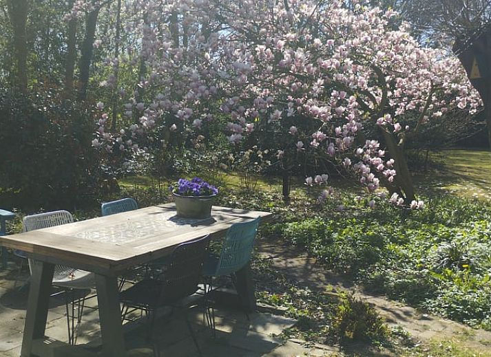 Guest house 533303 - Holiday property Salland - Vakantiehuisje in Wesepe