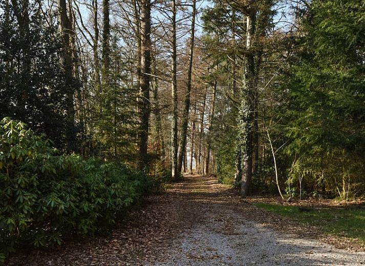 Unterkunft 533304 - Ferienhaus Salland - Huisje in Wesepe
