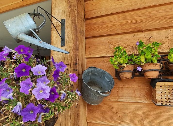 Cozy living room of Holiday Home in Wesepe, Salland with wood stove and wooden interior.
