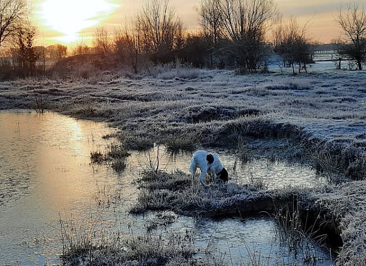 Sustainable Holiday Home in Wesepe, Overijssel with solar panels and rural garden.