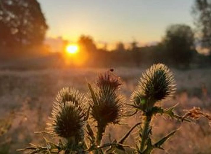 Spacious bedroom in Holiday Home in Wesepe, Salland with wooden beams and serene atmosphere.