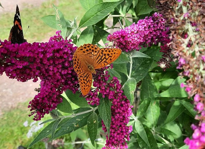 Spacious bedroom in Holiday Home in Wesepe, Salland with wooden beams and serene atmosphere.