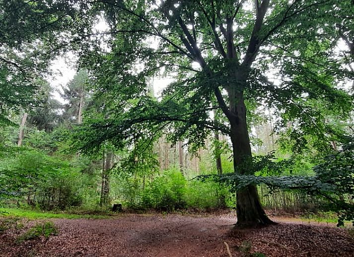 Spacious bedroom in Holiday Home in Wesepe, Salland with wooden beams and serene atmosphere.
